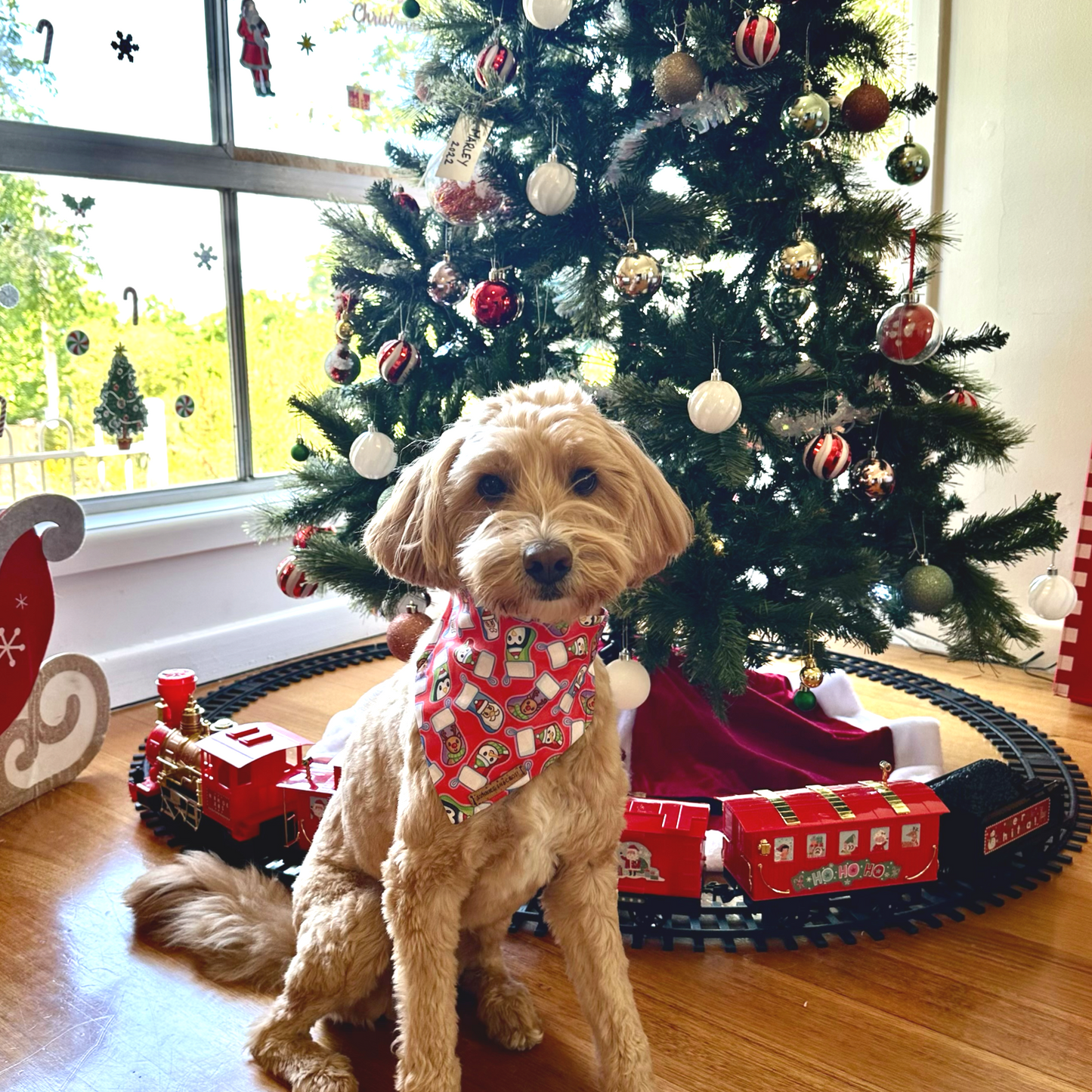 Claus Bandana