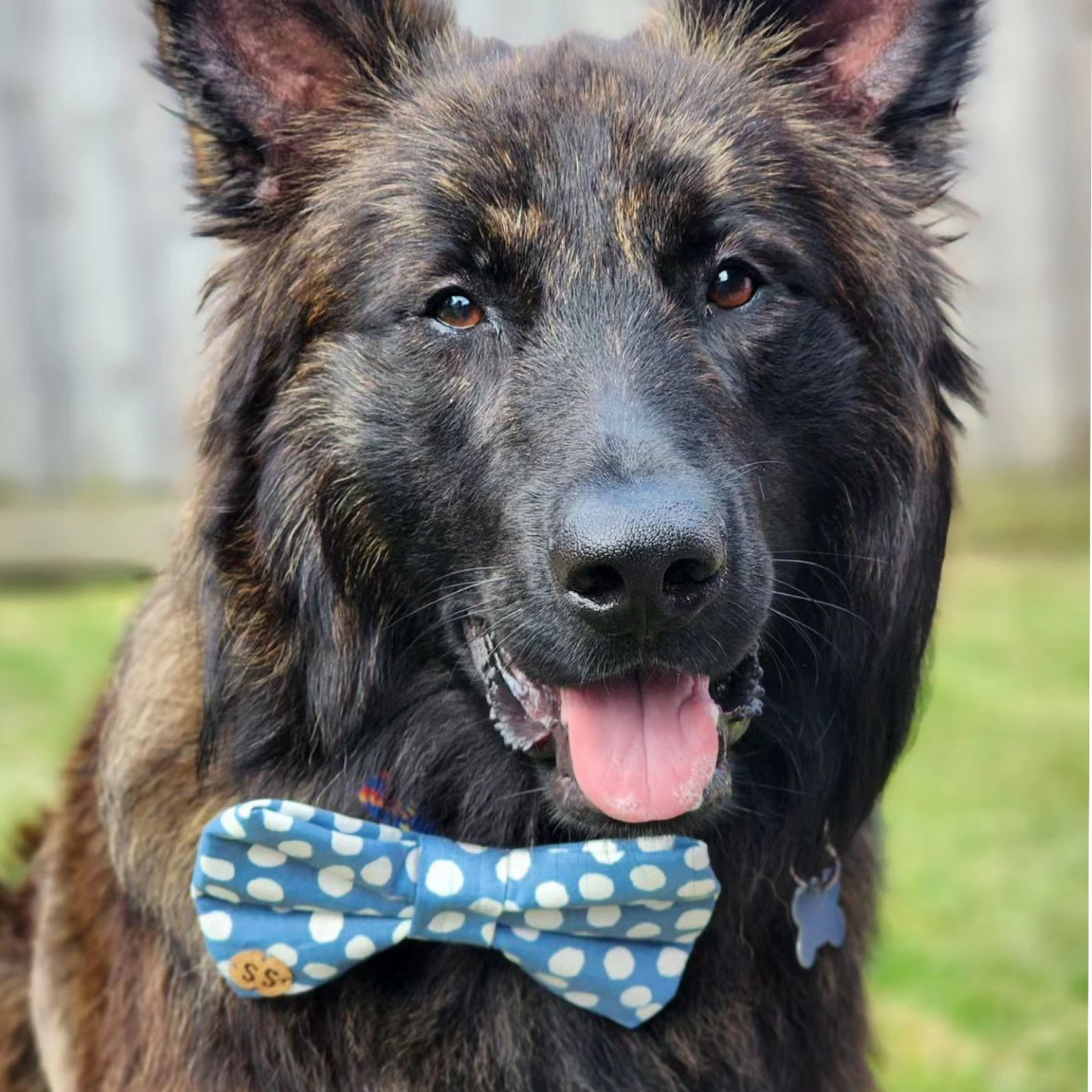 Skye Bow Tie