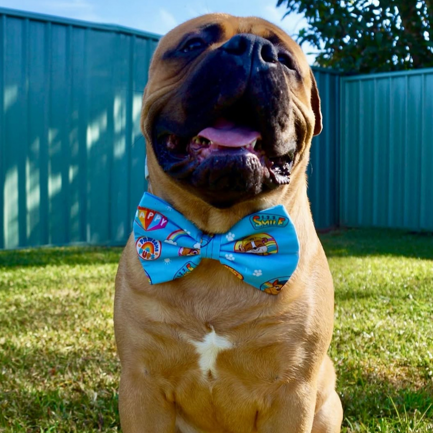 Mighty Bow Tie