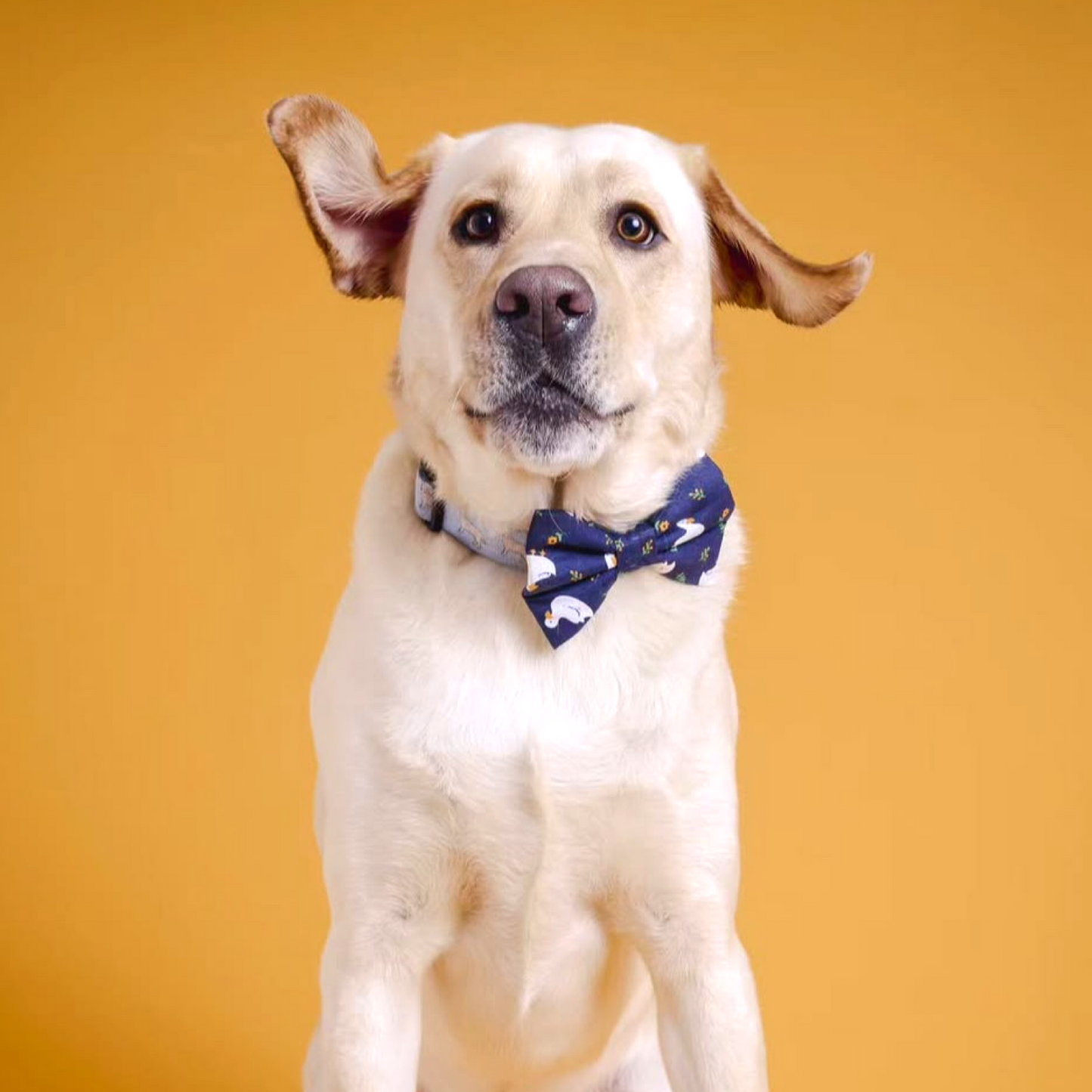 Goose Bow Tie