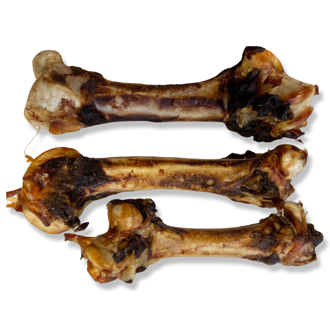Emu Femur