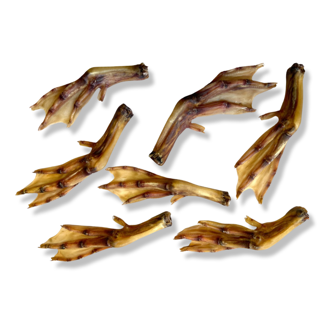 Duck Foot