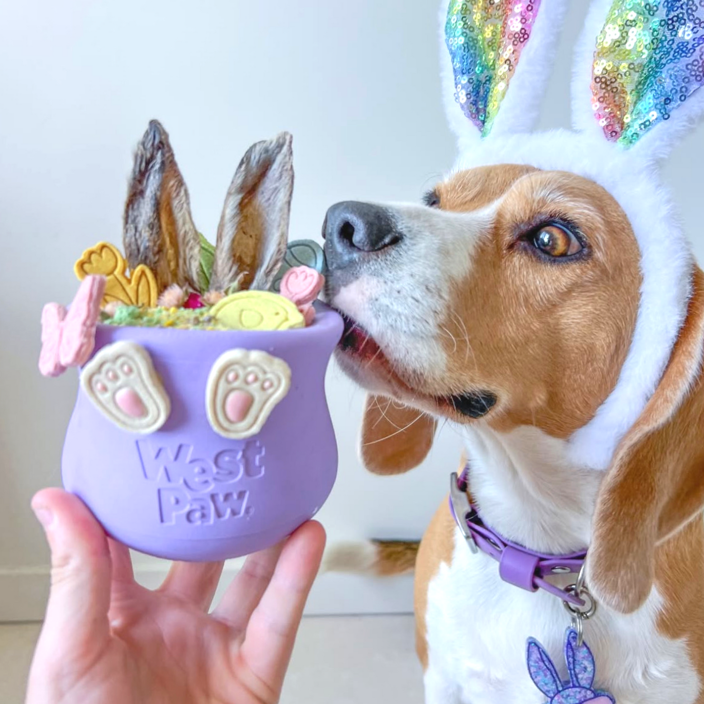 Furry Rabbit Ears