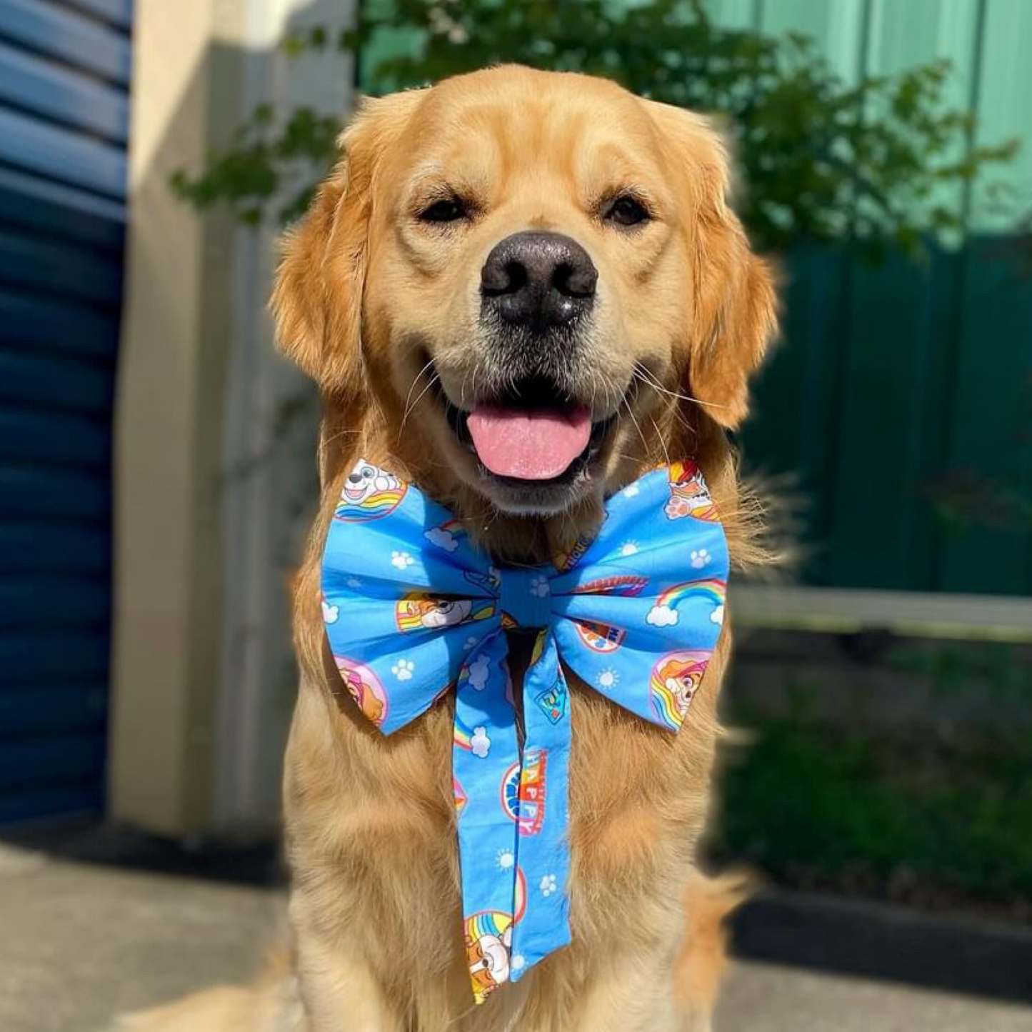 Mighty Sailor Bow