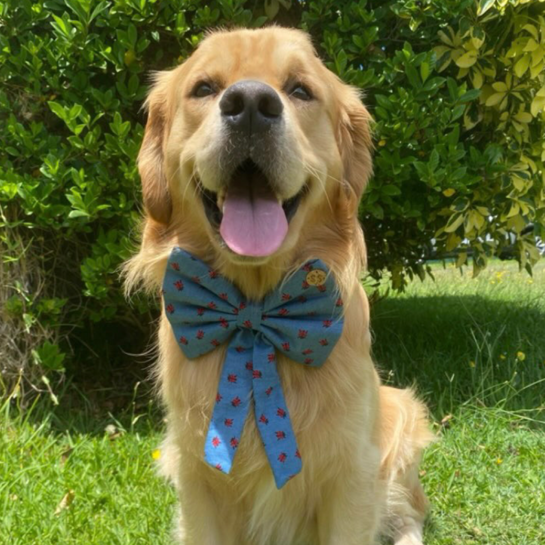 Millie Sailor Bow
