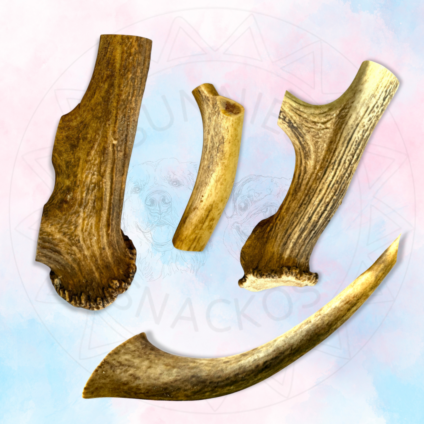 Deer Antler