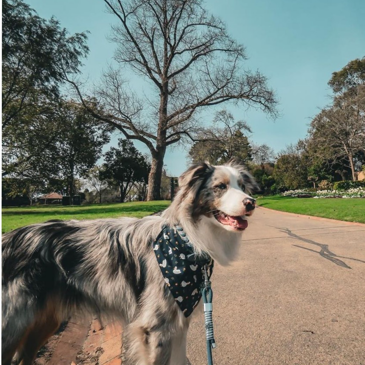Goose Bandana