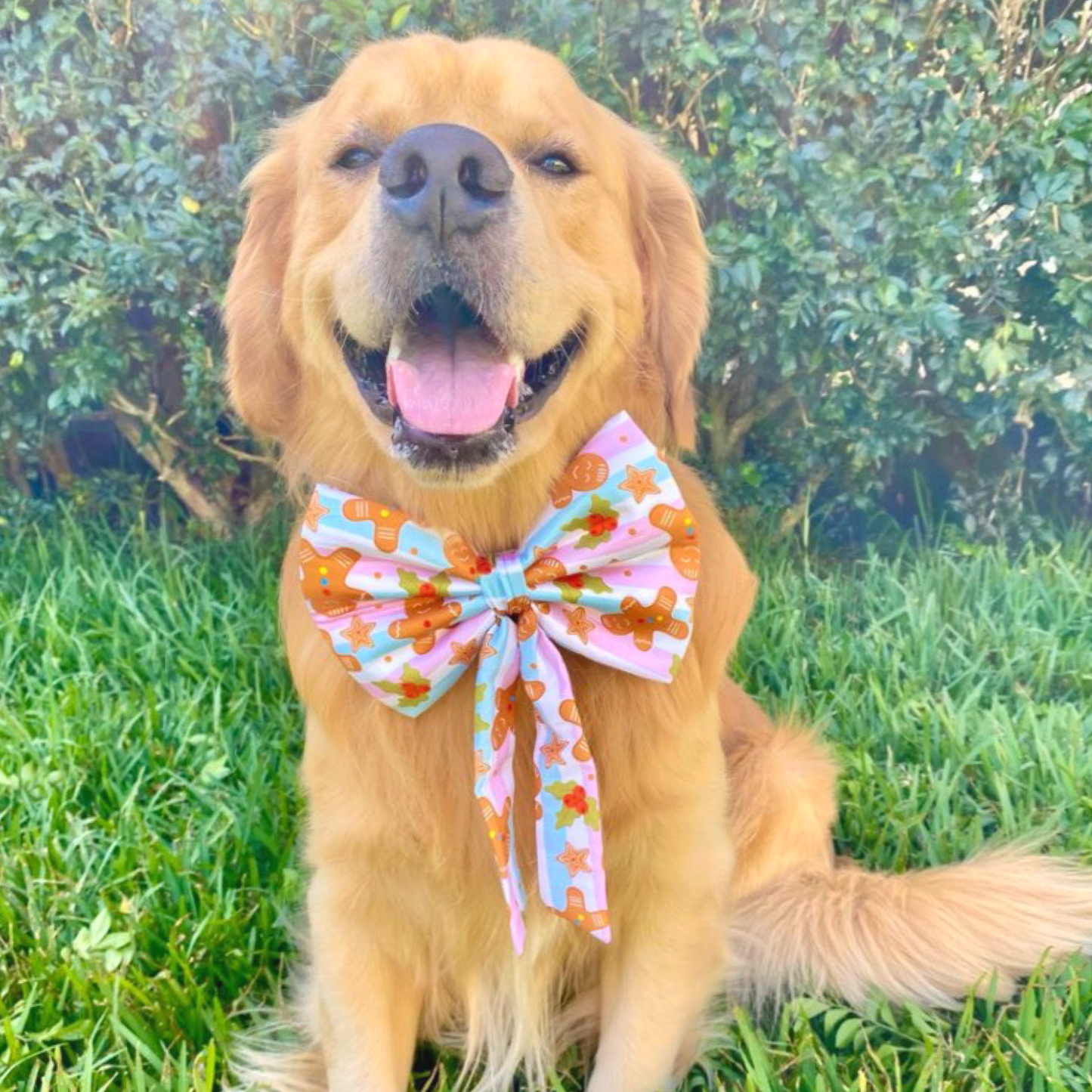 Hollie Sailor Bow