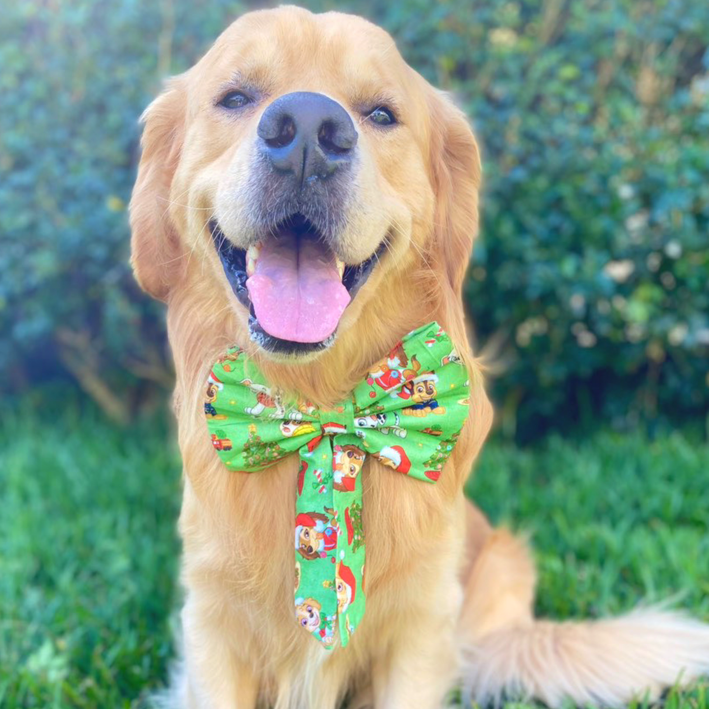 Pupmas Sailor Bow