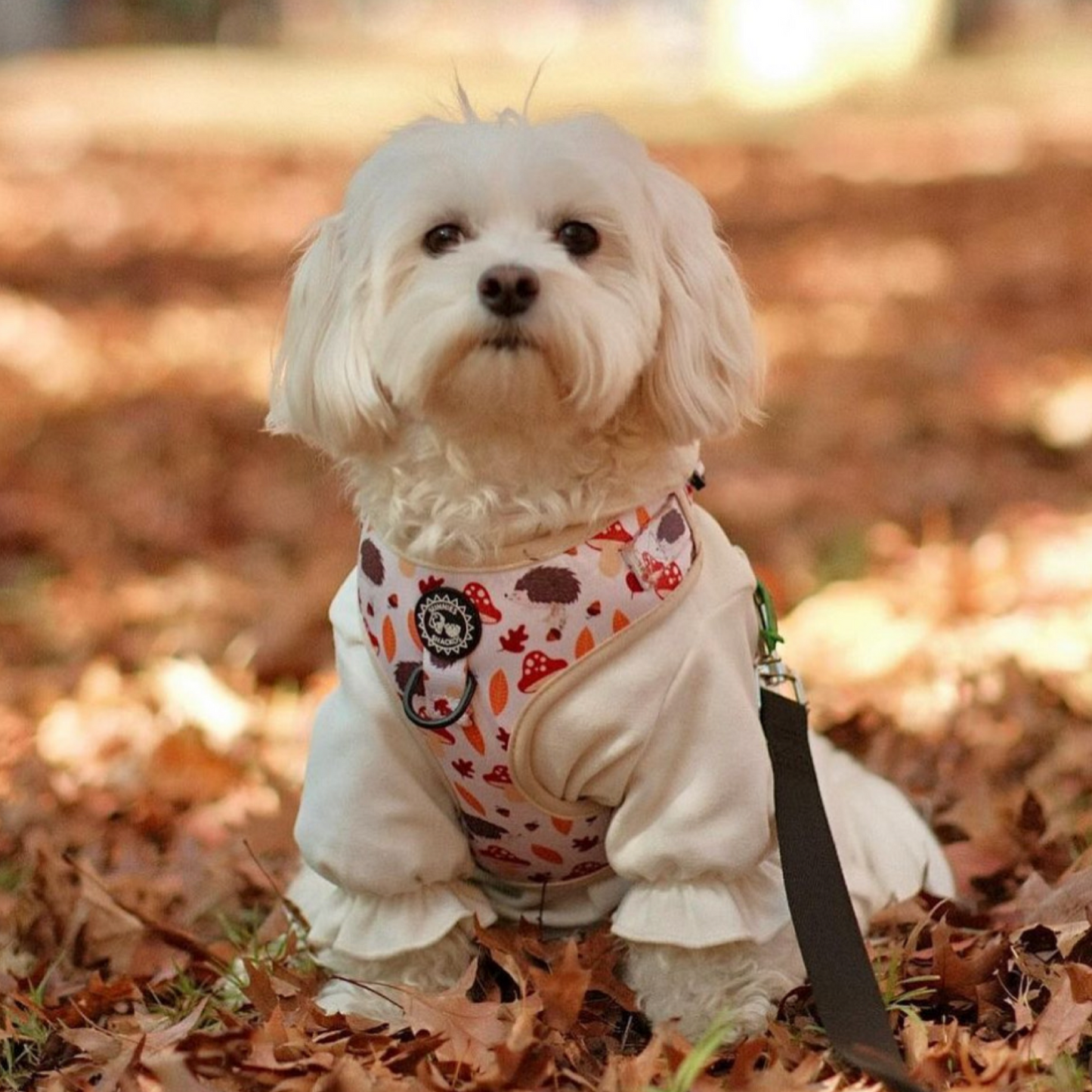 Woodland Harness