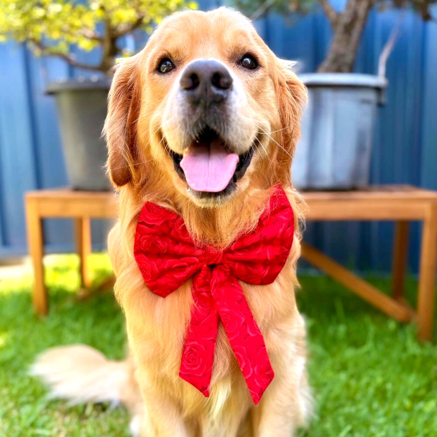Bloom Sailor Bow