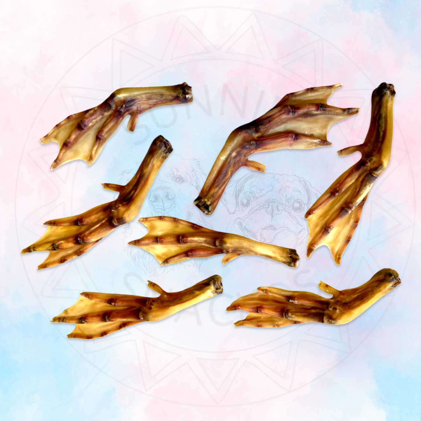 Duck Feet