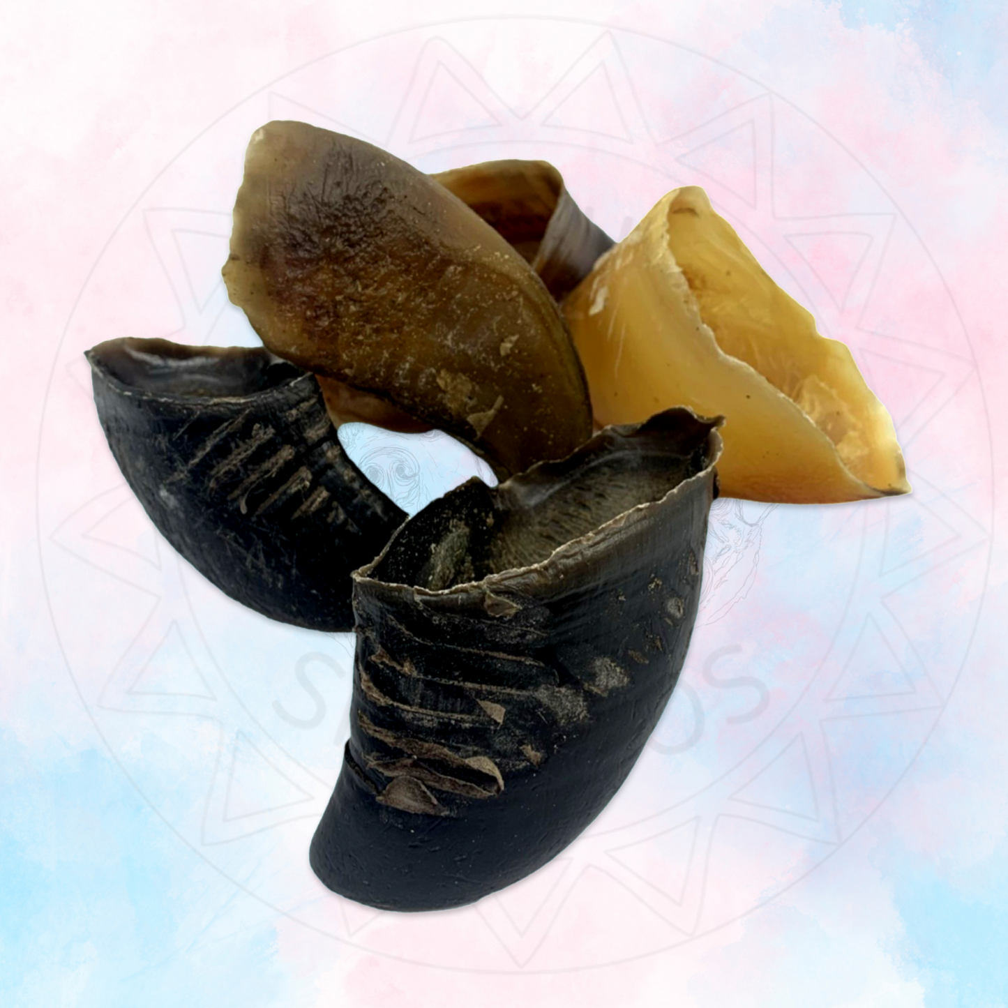 Beef Hoof