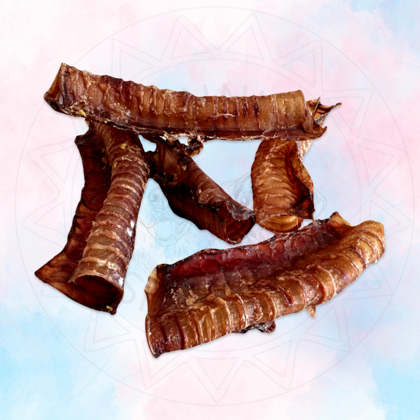 Lamb Trachea