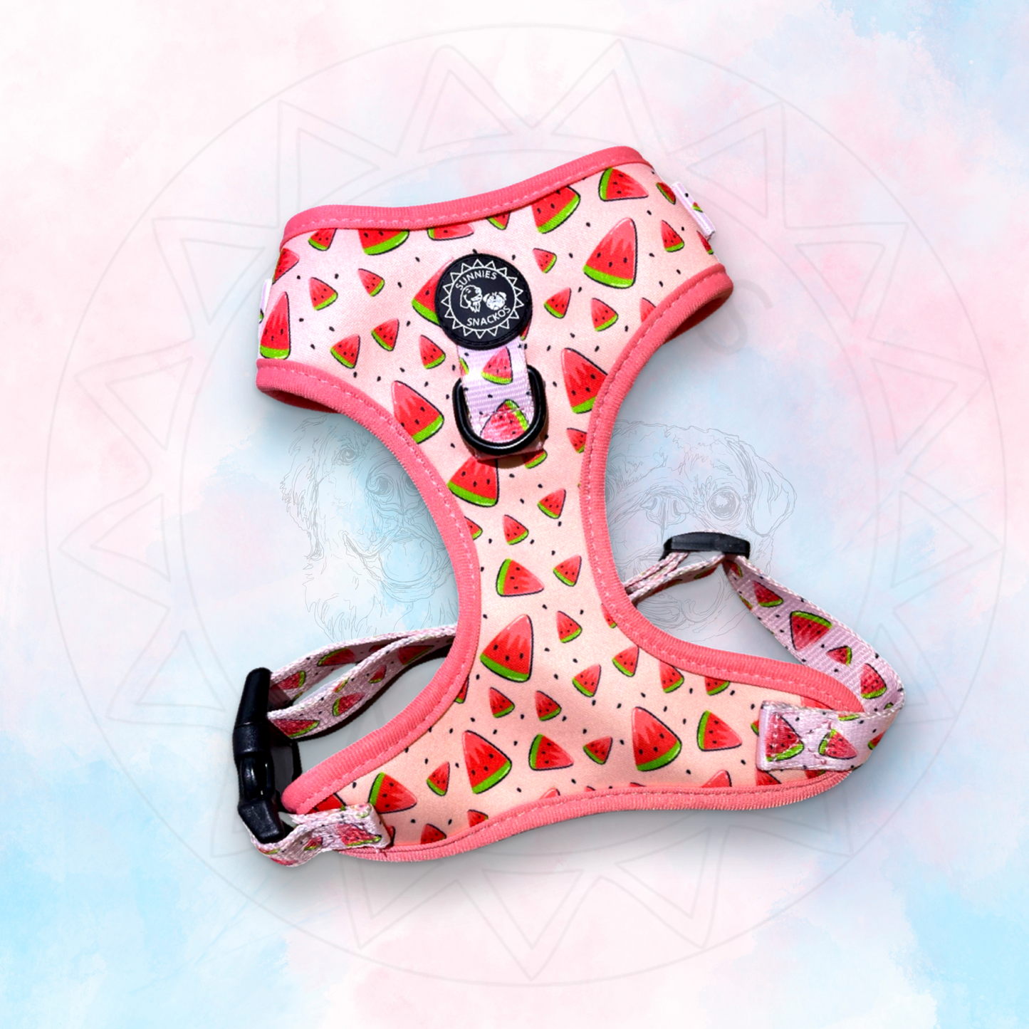 Melonie Harness