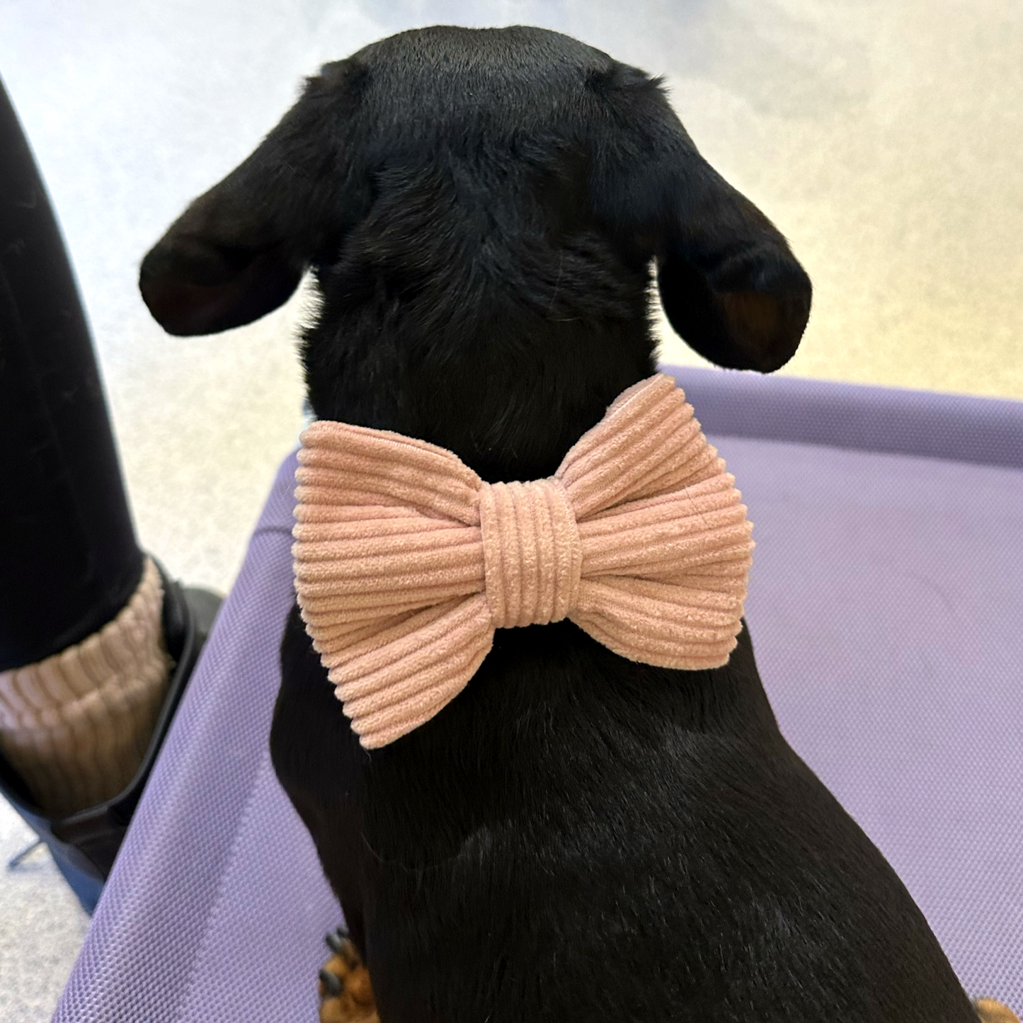 Nita Bow Tie