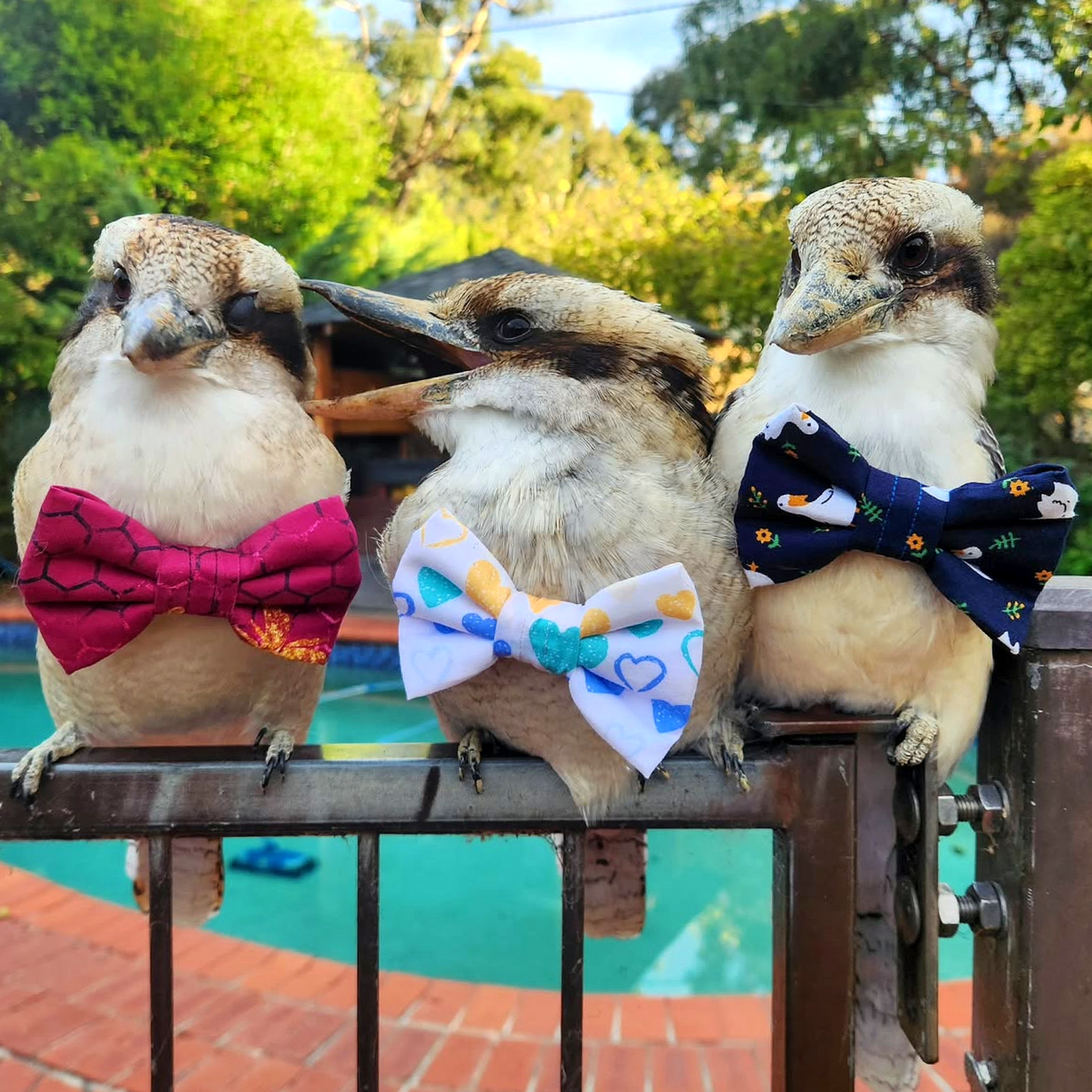 Goose Bow Tie