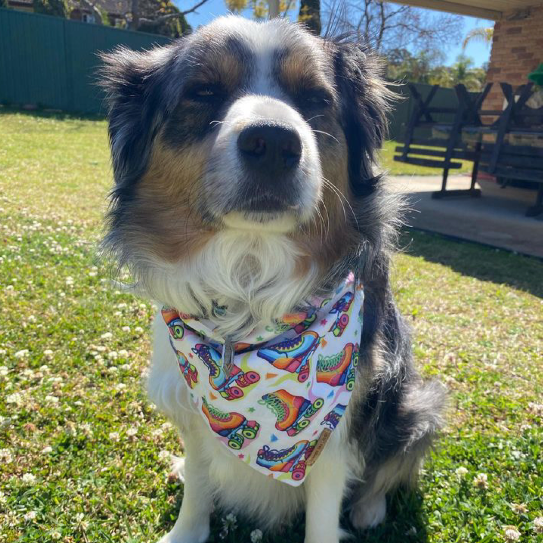 Groovy Bandana