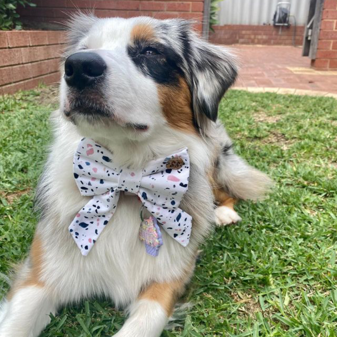 Tully Sailor Bow