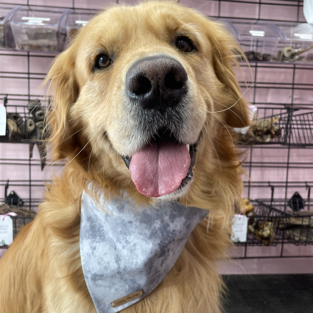 Crystal Bandana