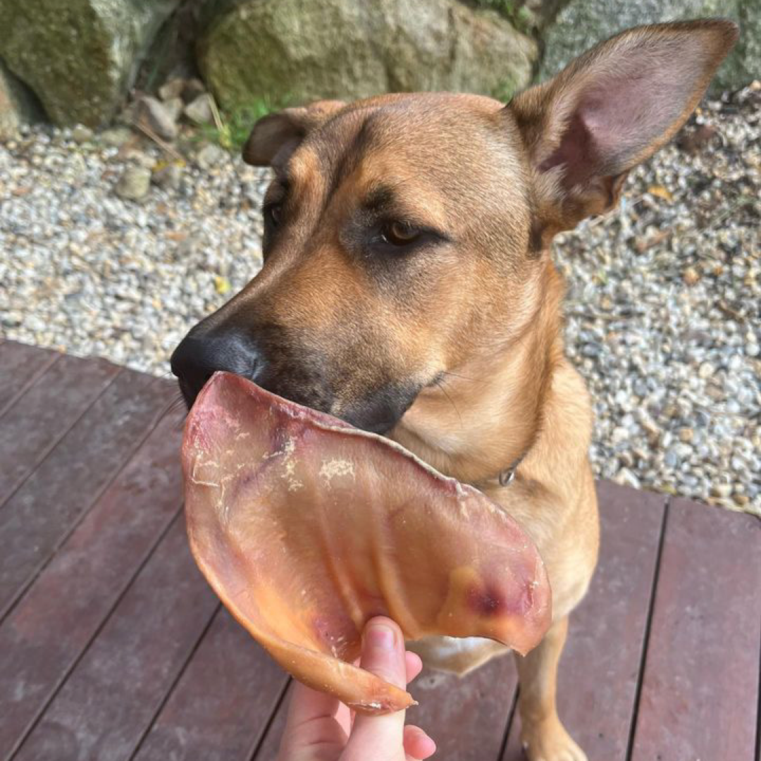 Pork Ears