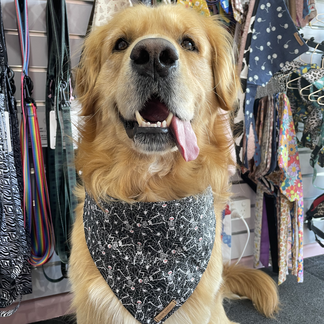 Webby Bandana