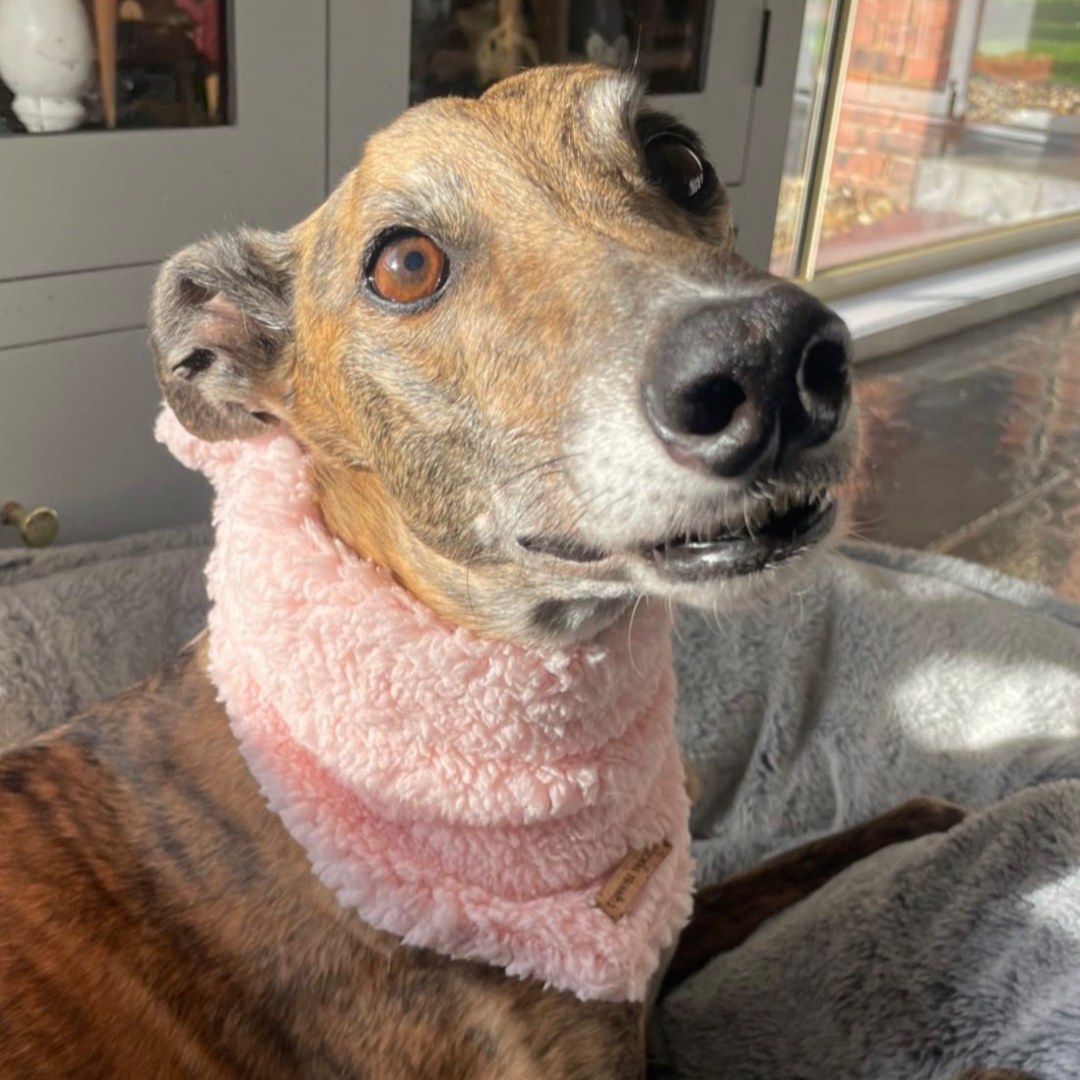 Kiara Bandana