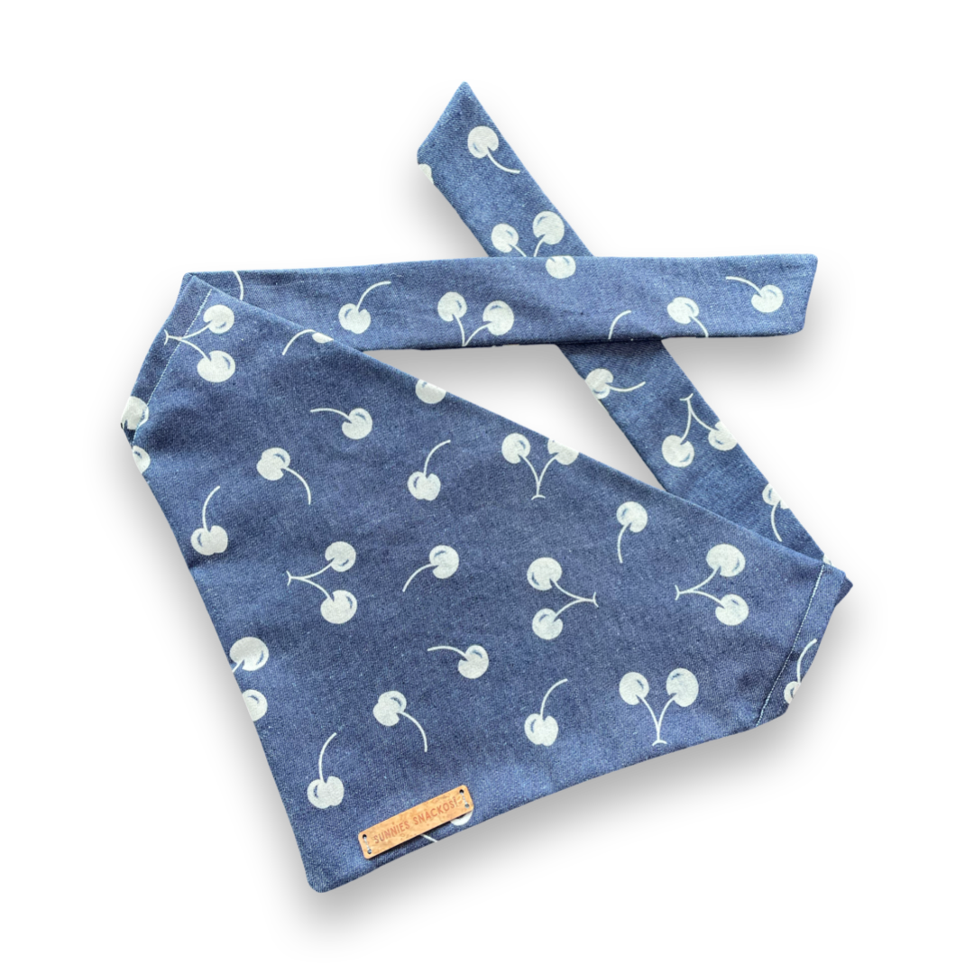 Harri Bandana