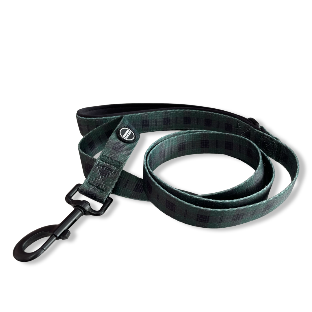 Hunter Lead