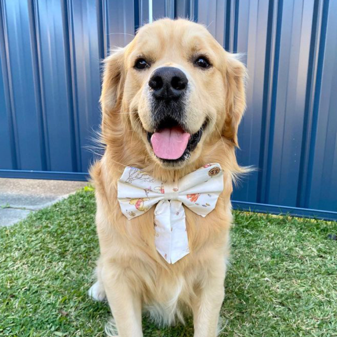 Hunny Sailor Bow