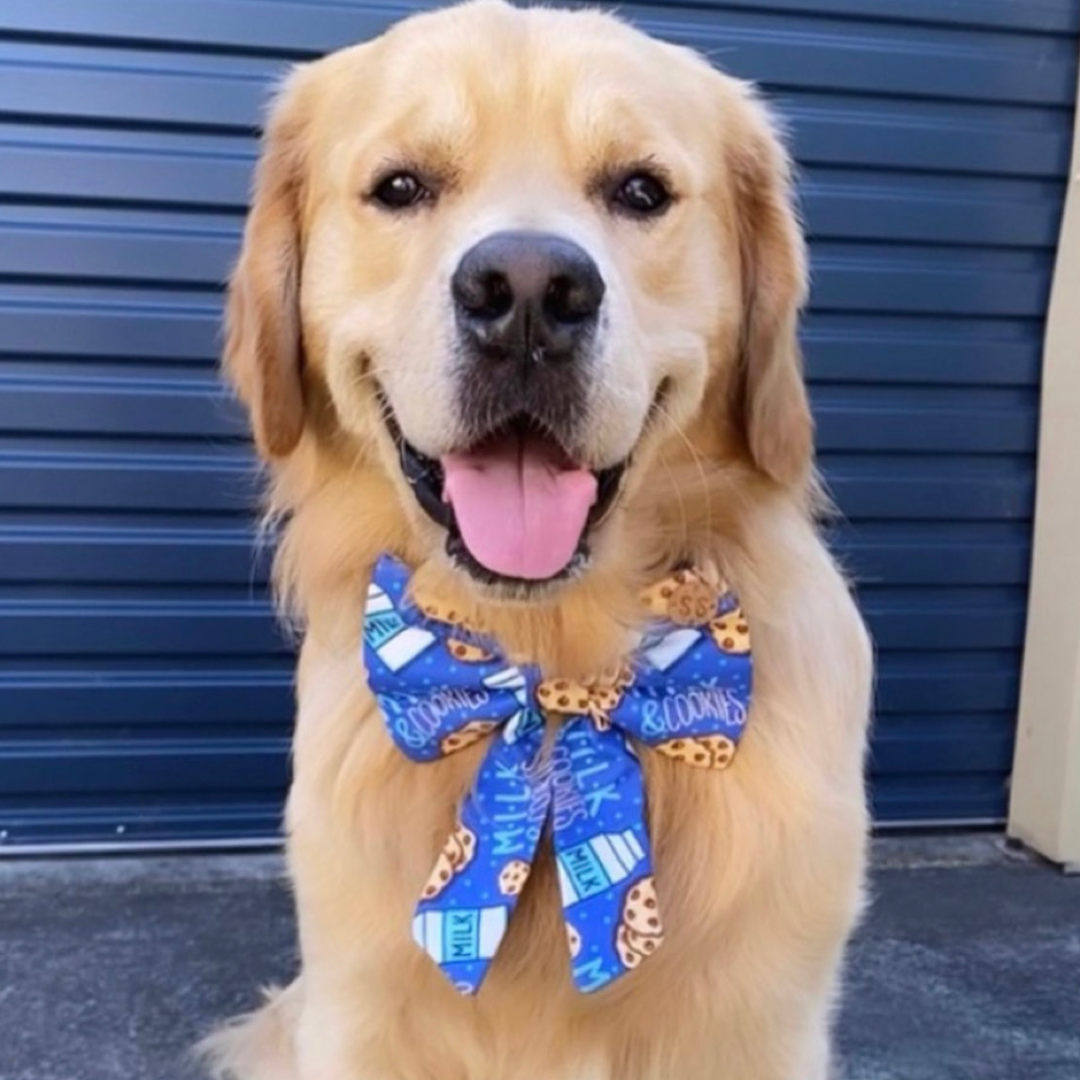 Tucker Sailor Bow