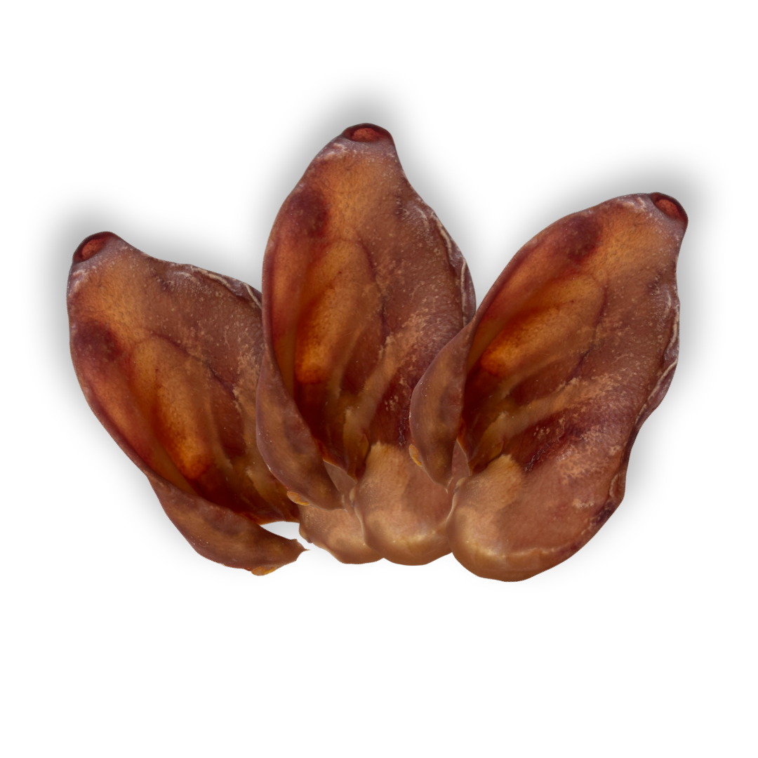 Pigs Ear
