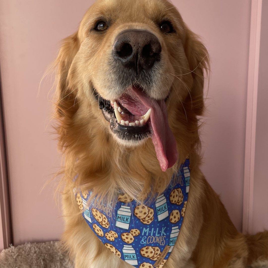 Tucker Bandana - Medium