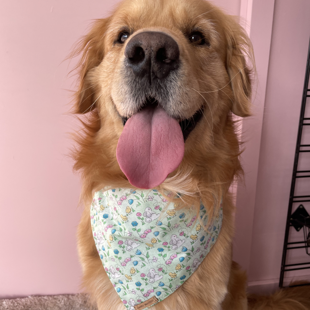 Spring Bandana