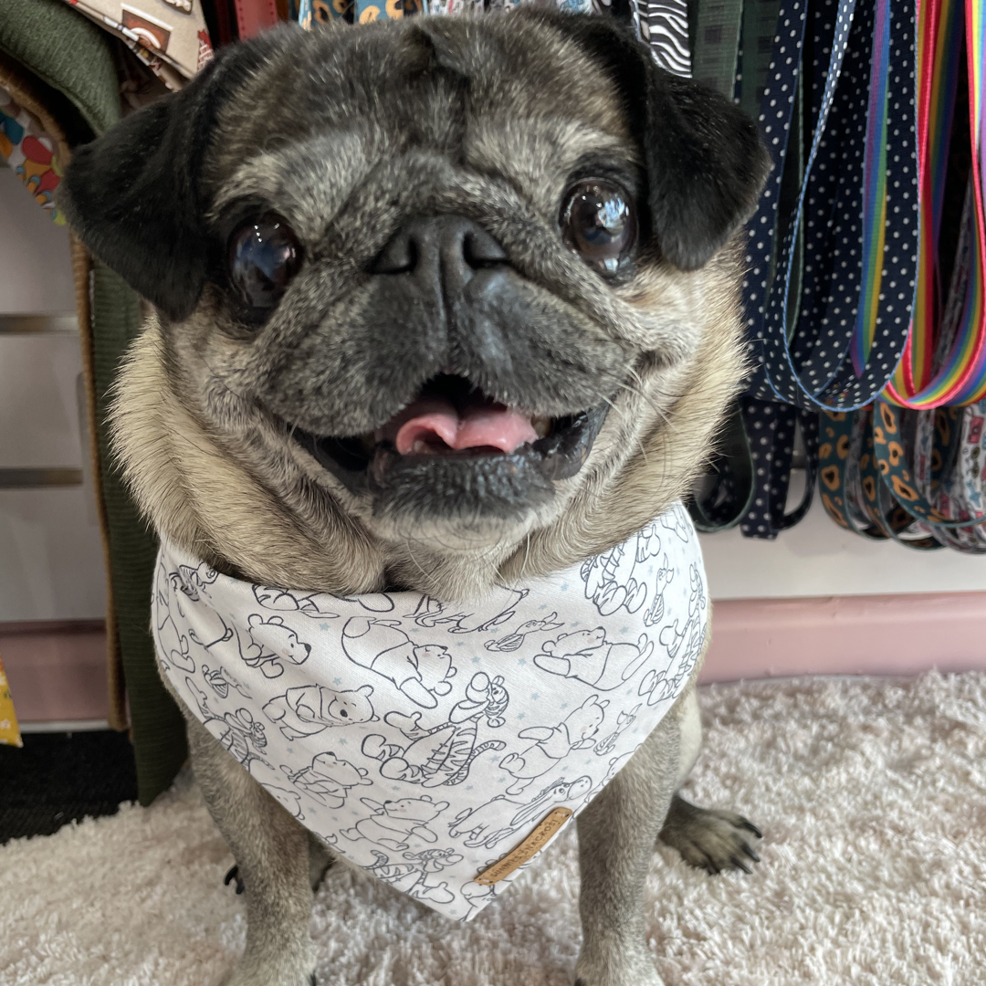 Hundred Acre Wood Bandana