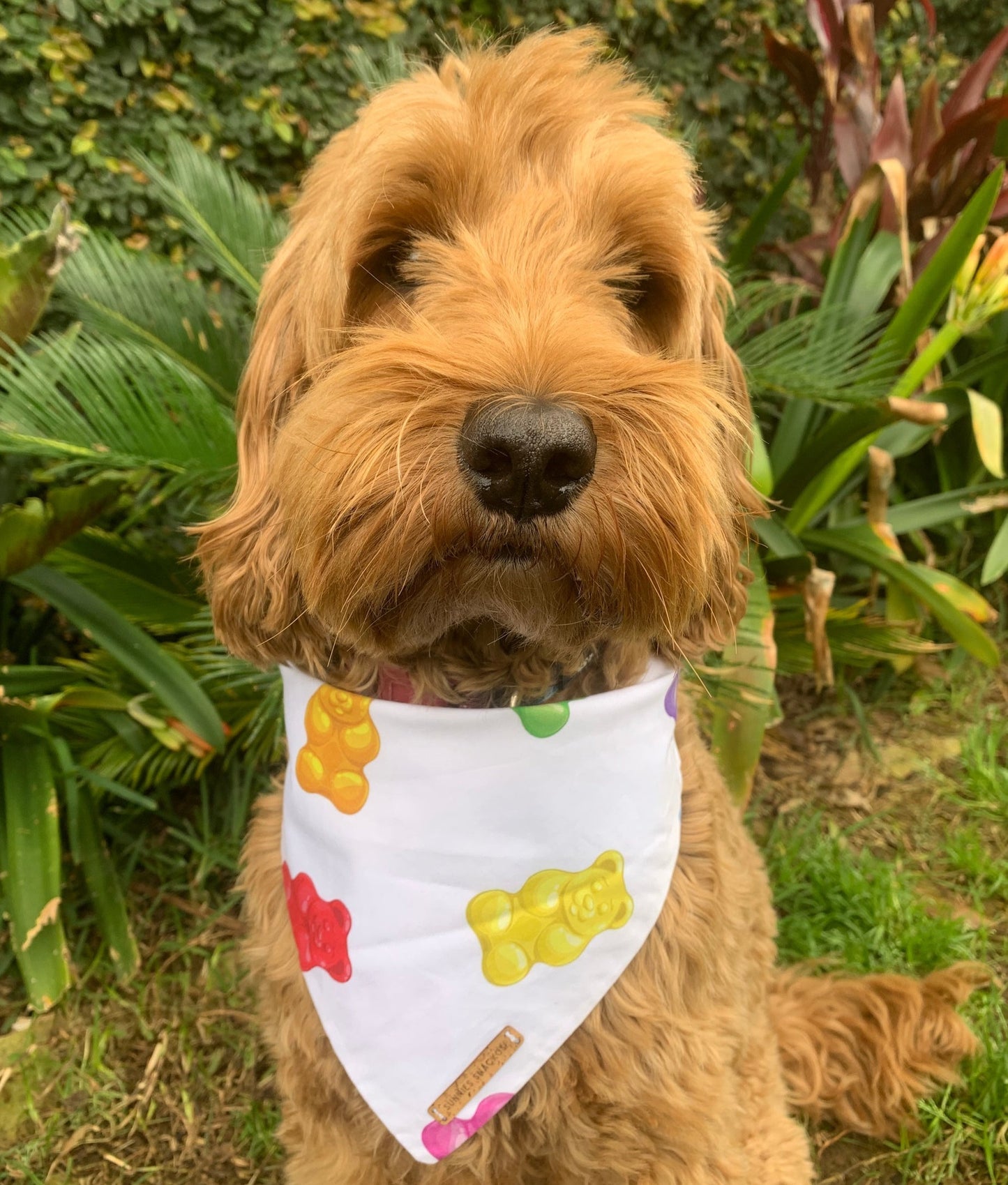 Gummie Bandana