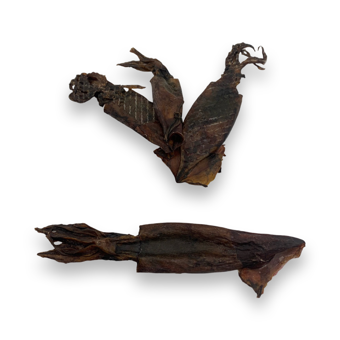 Squid Piece