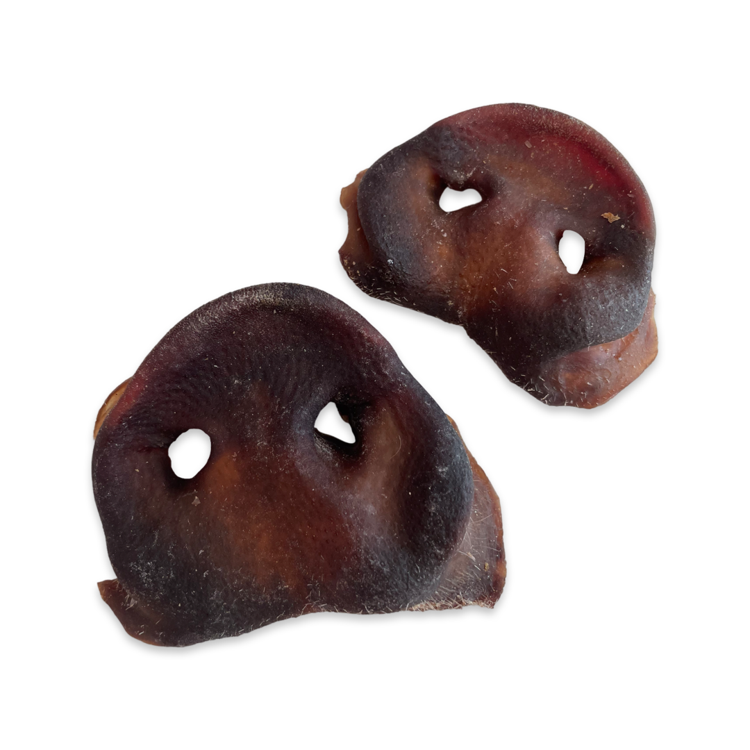 Pork Snout