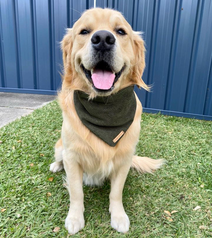 Denahi Bandana