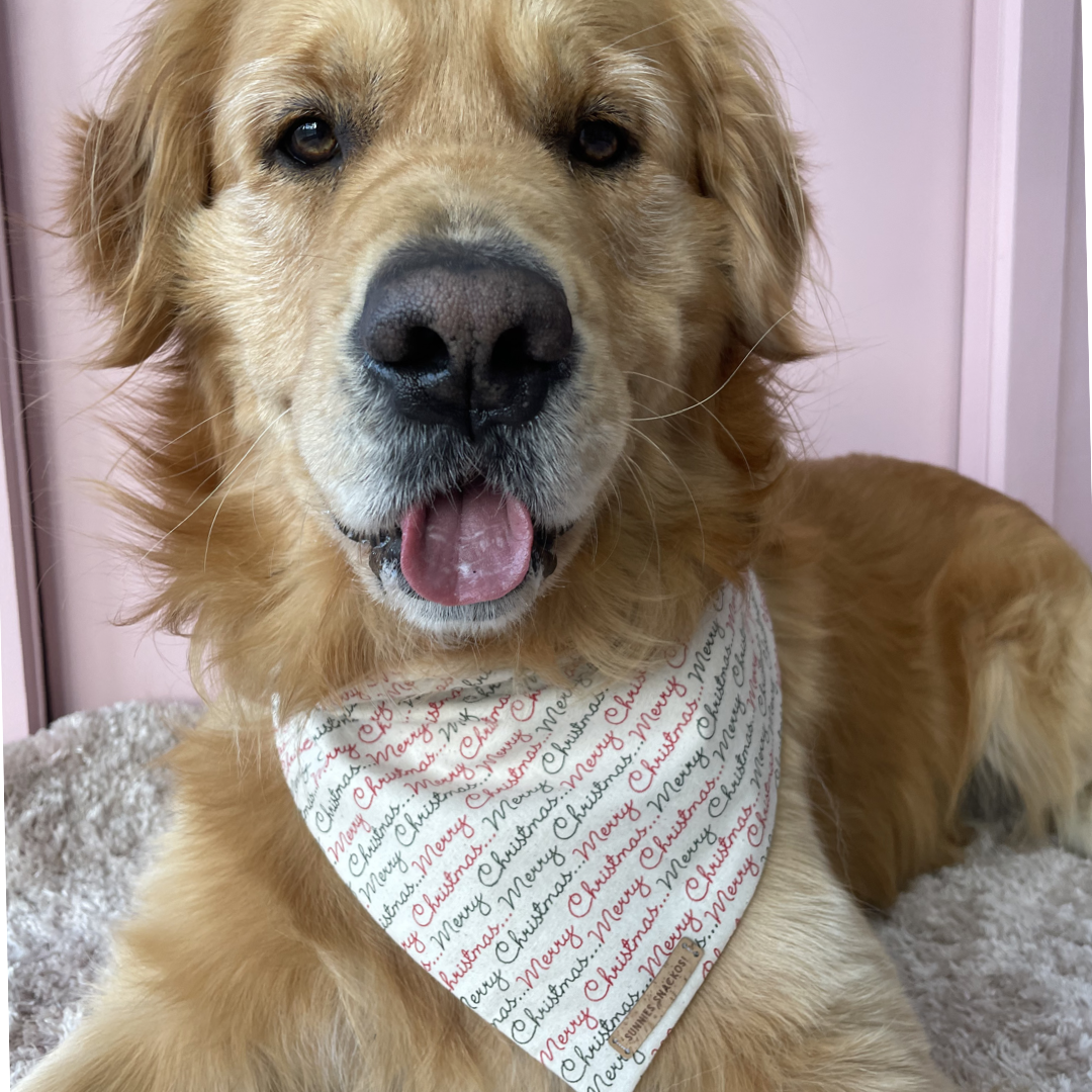 Merry Christmas Bandana