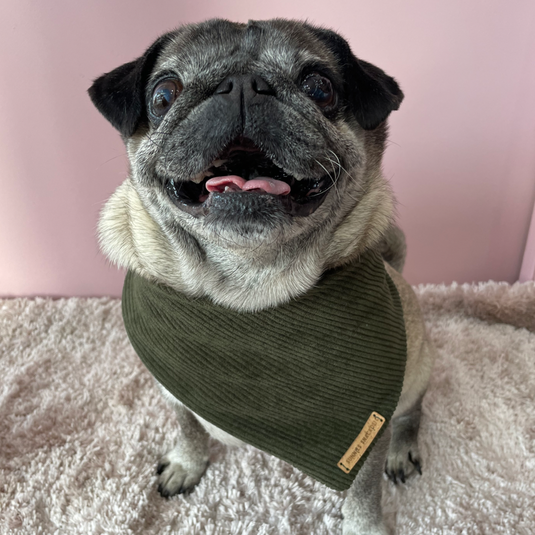 Denahi Bandana