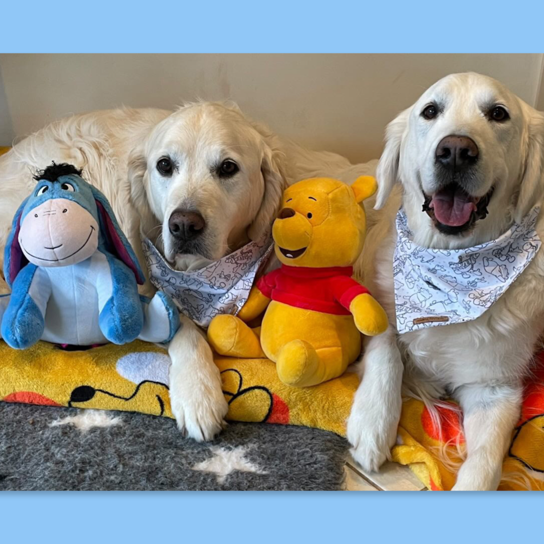 Hundred Acre Wood Bandana