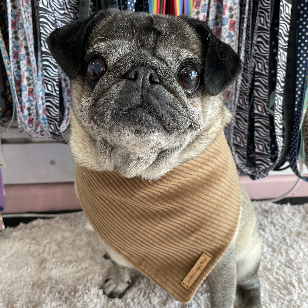 Kenai Bandana