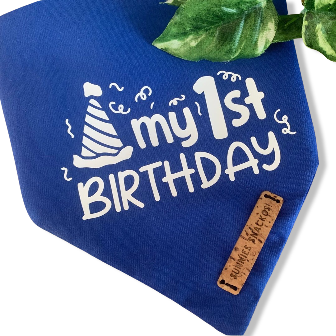 My 1st Birthday Customisation