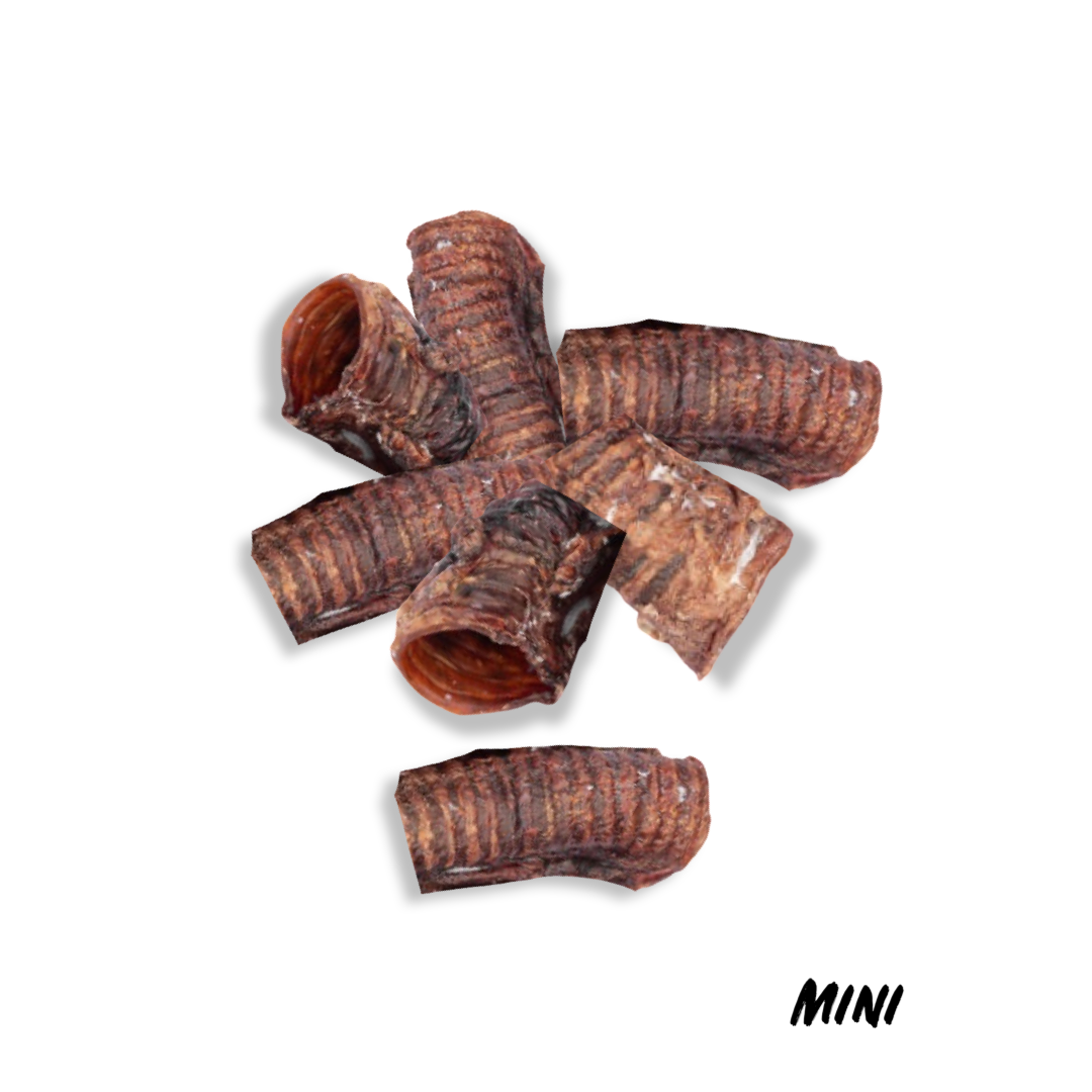 Beef Trachea