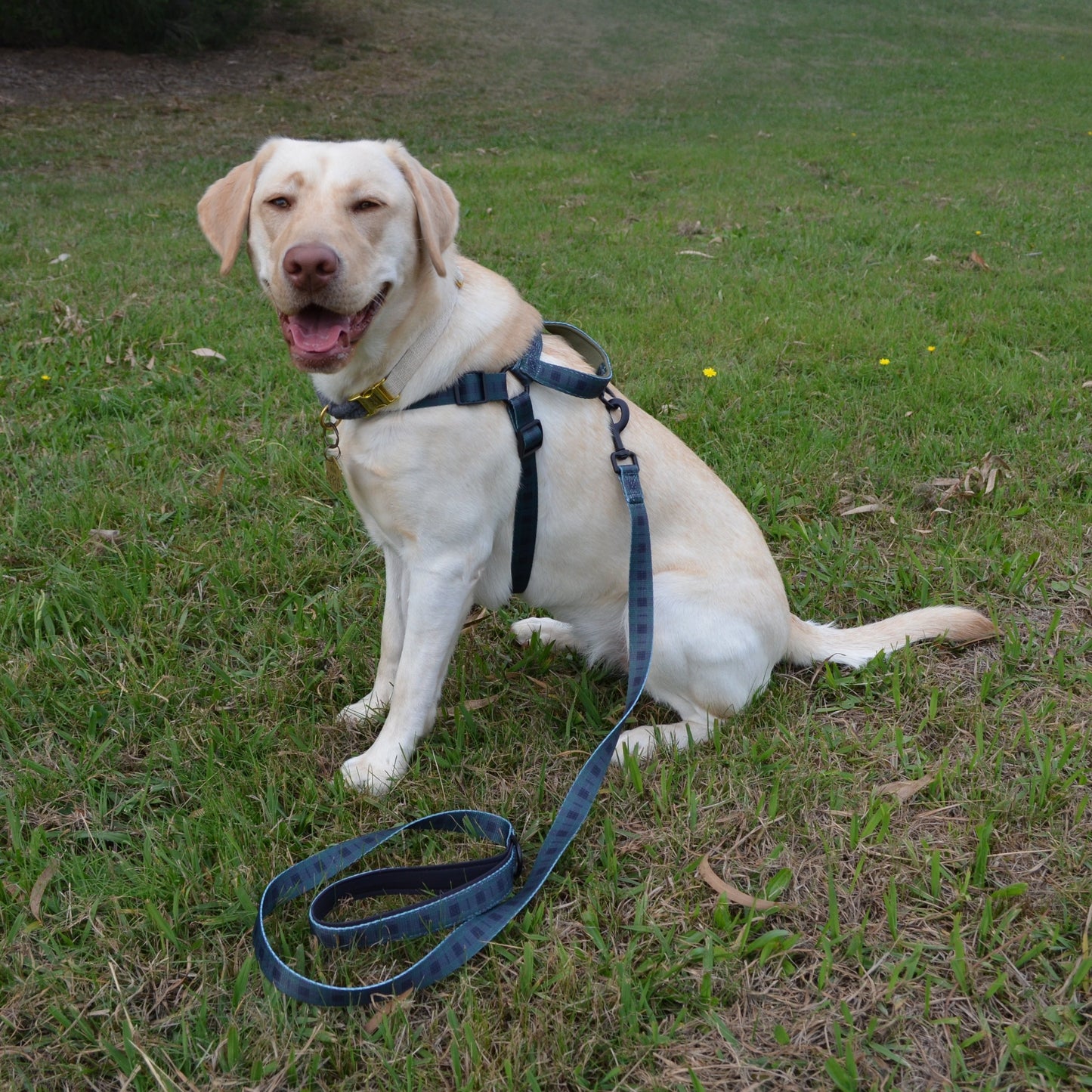 Hunter Lead