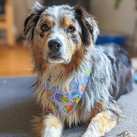 Prickles Bandana