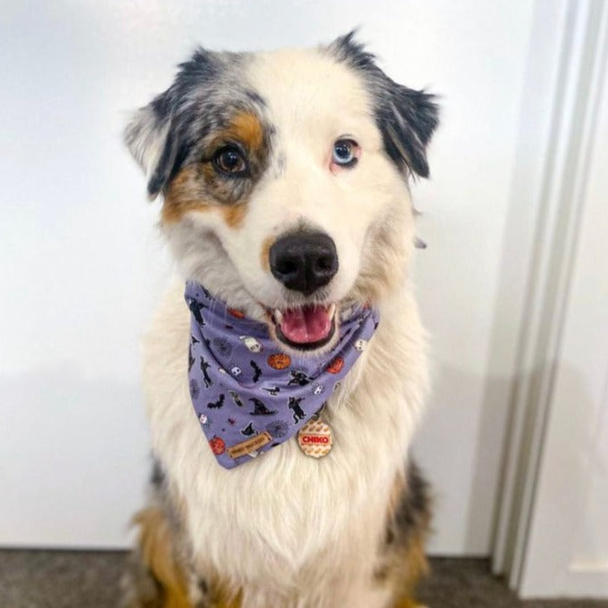 Spooky Bandana - Small