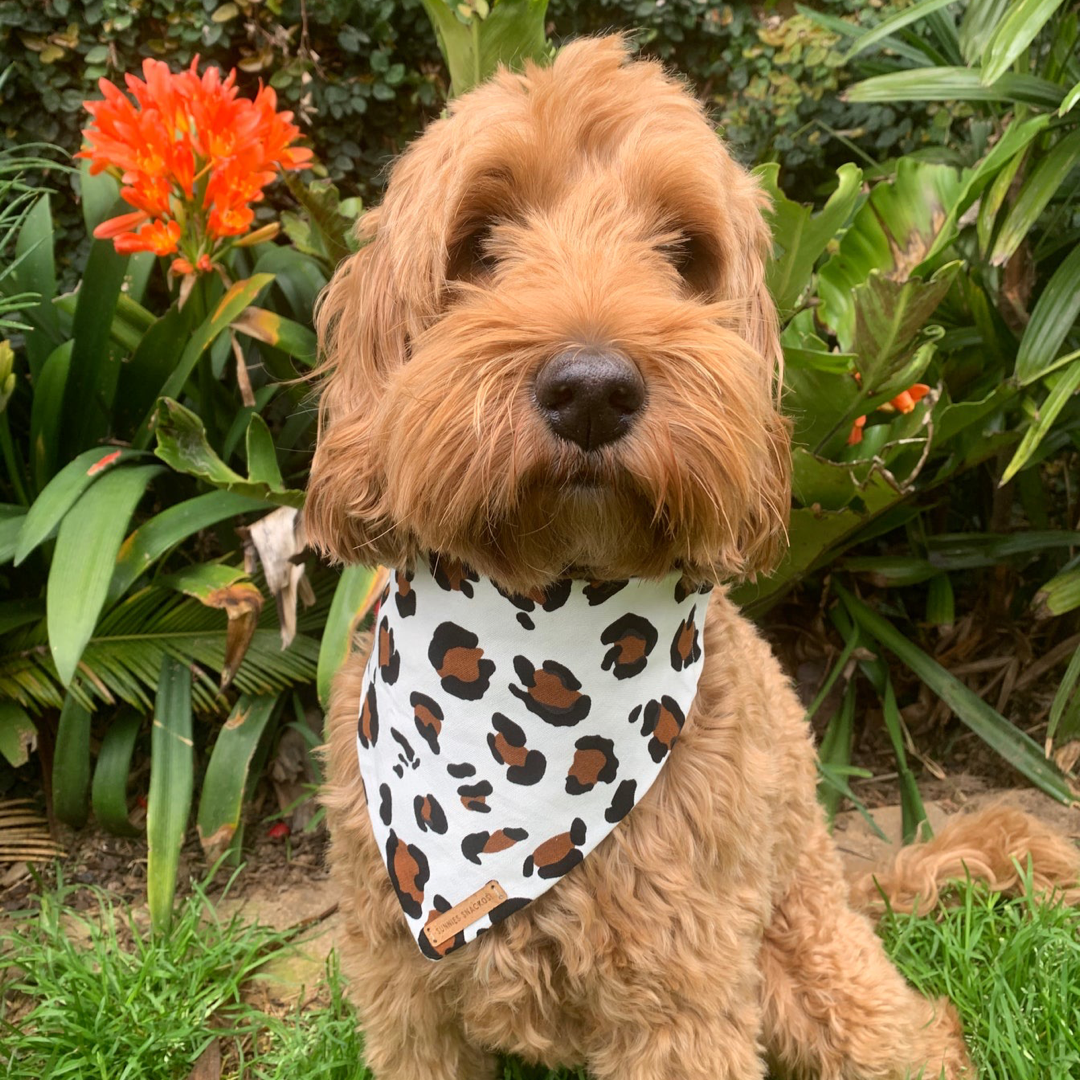 Pebbles Bandana