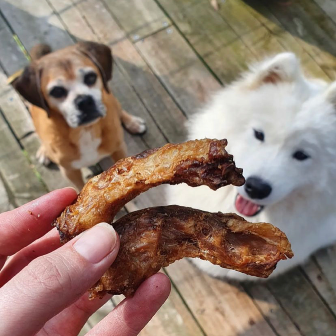 Chicken Necks